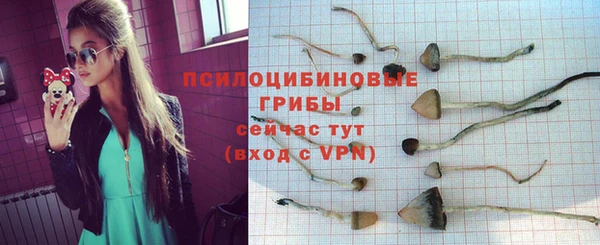 mdpv Краснотурьинск