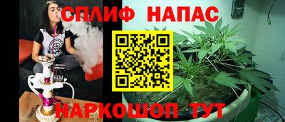 СК Можга