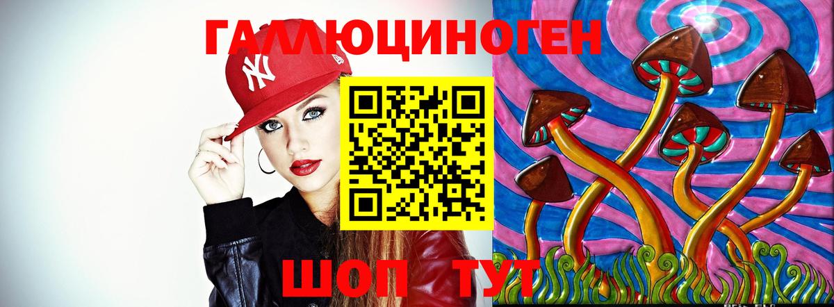Псилоцибиновые грибы GOLDEN TEACHER Кореновск