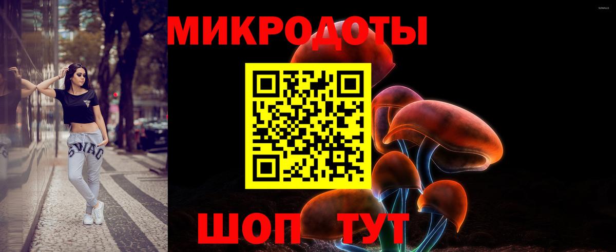 Кореновск  Псилоцибиновые грибы Psilocybe  Вход с VPN  Псилоцибиновые грибы MAGIC MUSHROOMS 